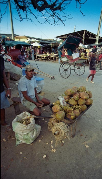 Prodej kokosových ořechů, Madagaskar