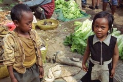 malý trhovci, Madagaskar