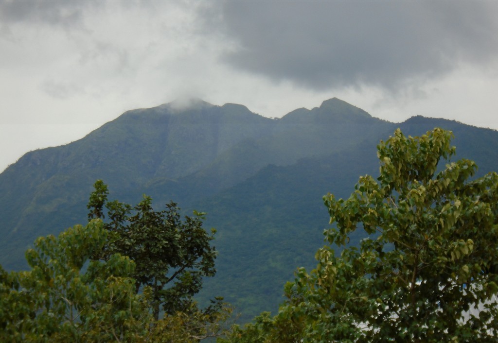 Cross River National Park a vrcholky hor