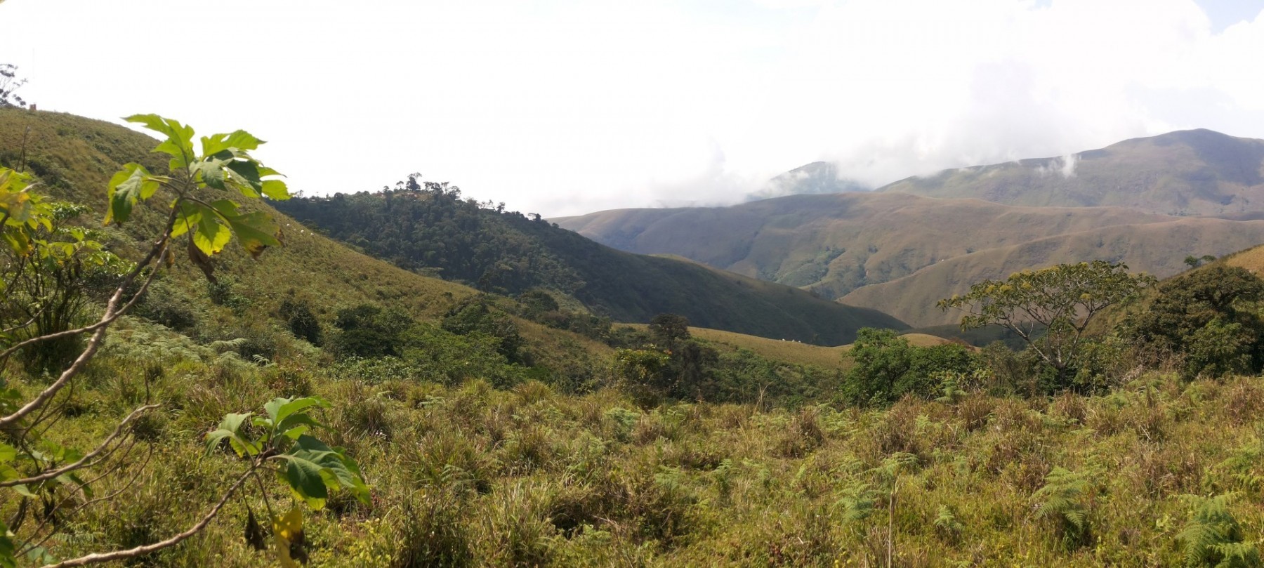 Cross River National Park a pohled směrem na Kamerun