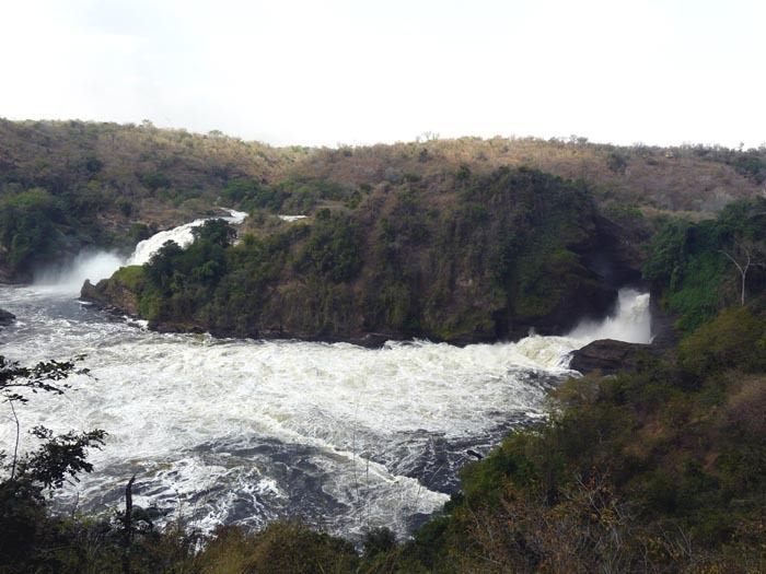 Murchison Falls a ostrov
