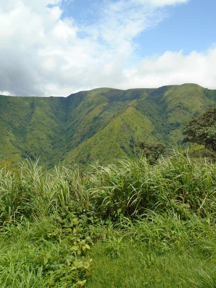 Domky na horách, Obudu