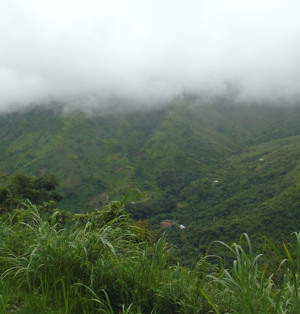 Domky v údolí; Cross River National Park