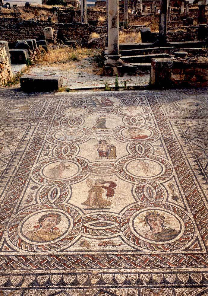 Volubilis - mozaika