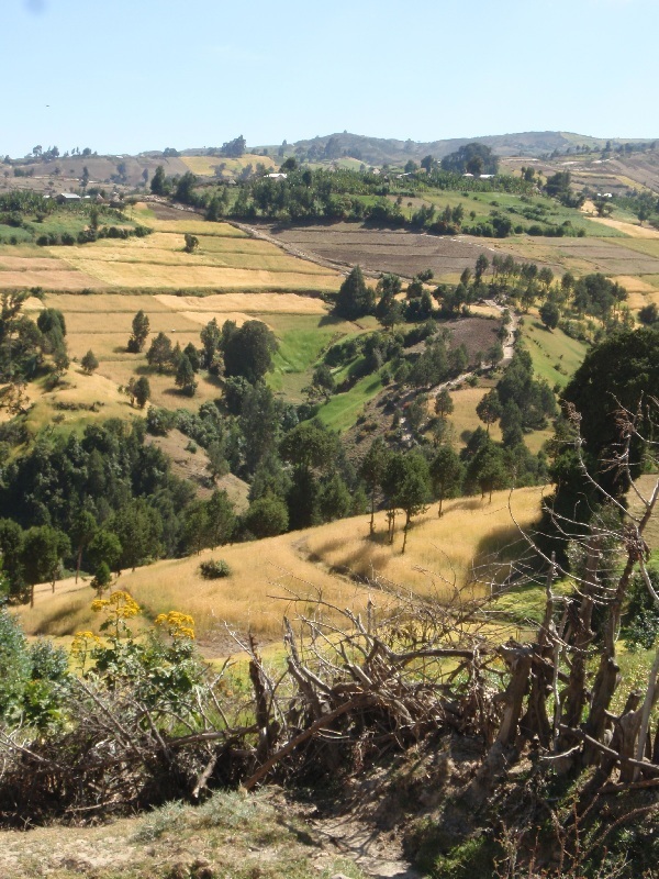 zemědělská krajina, Etiopie (foto: Víťa Glomb)