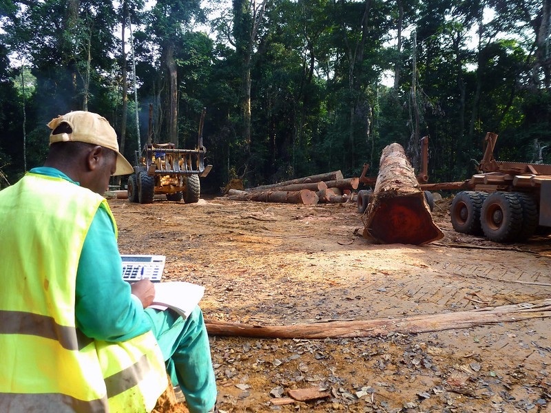 Těžba dřeva v Gabonu by EU FLEGT and REDD facilities