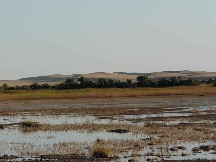 Slané jezero v Siwě