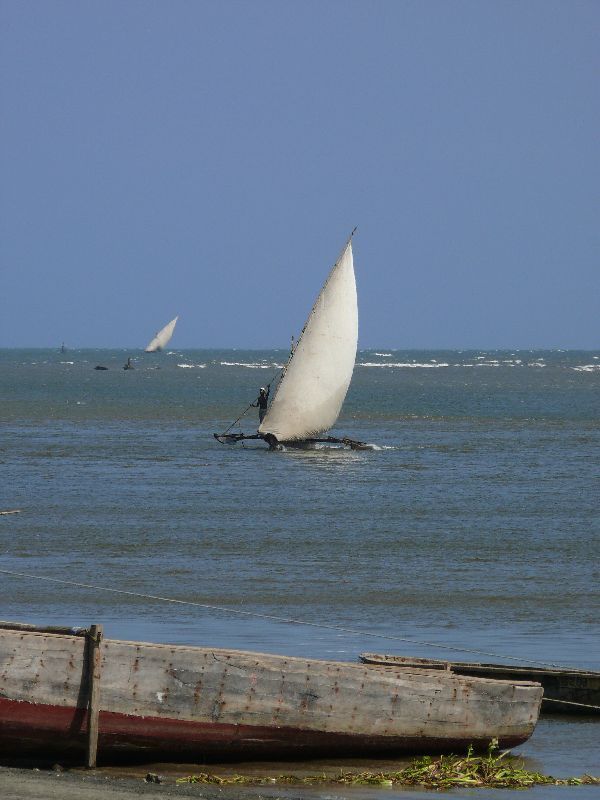 Pangani a přístav (foto: Pavel Kohout, Tanzanie)