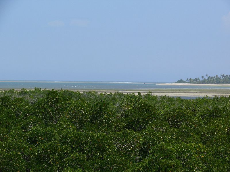 Tongoni - zátoka s mangrove (foto: Pavel Kohout, Tanzanie)