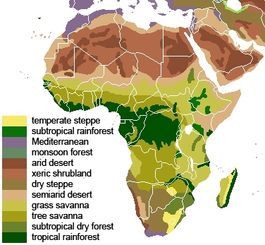 Vegetační mapa Afriky