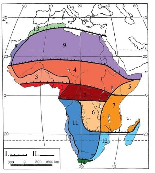 Podnebí Afriky
