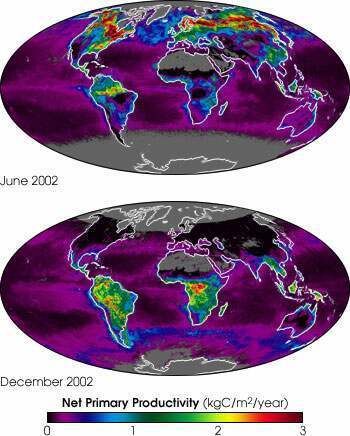 Earth’s carbon “metabolism” (NASA, 2002)