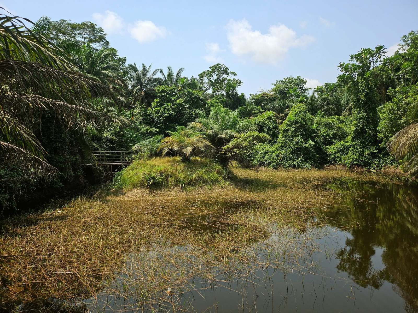 Lufasi Nature Park, Lagos, foto Petra Mrňková