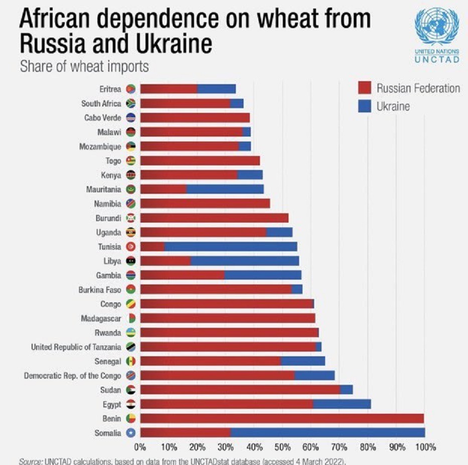 Závislost afrických zemí na exportu pšenice z Ruska a Ukrajiny
