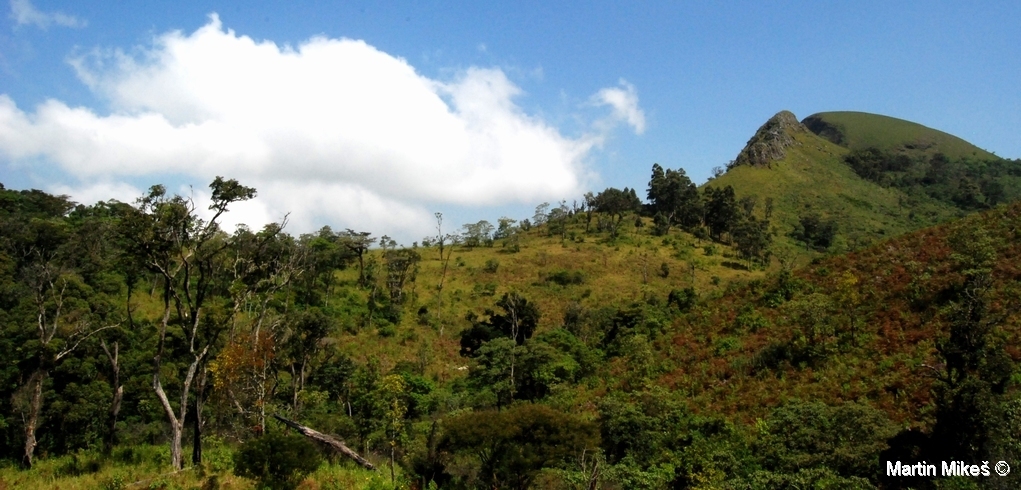 krajina Bamenda Highlands, Kamerun (foto: Martin Mikeš)