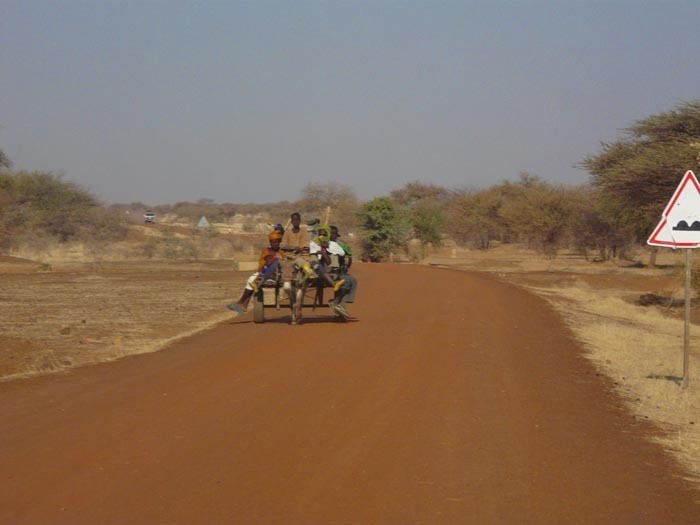 Křovitá savana, Burkina Faso; foto: Vladimír Zikán