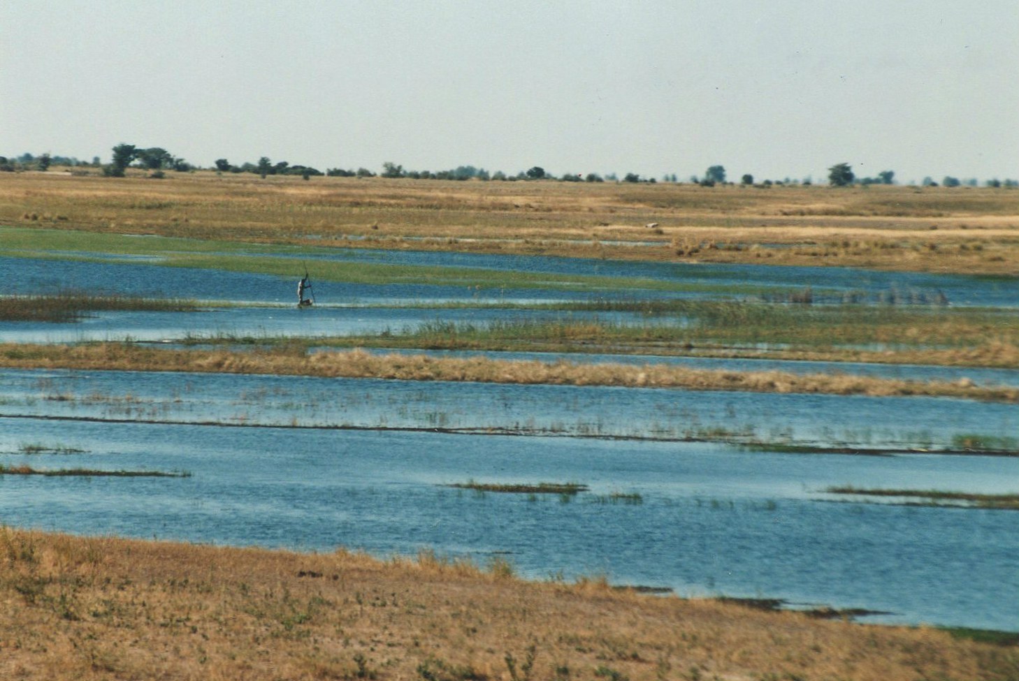 Niva řeky Kwando Chobe