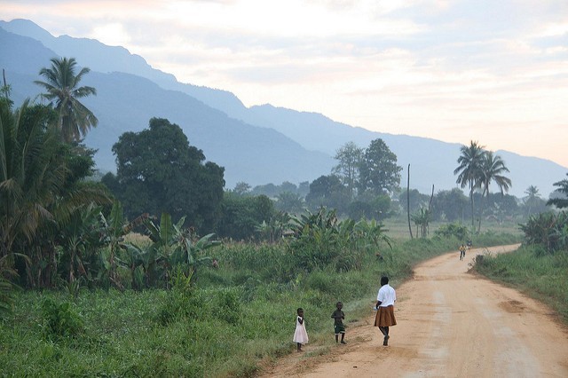 Marc Veraart: Udzungwa Mts