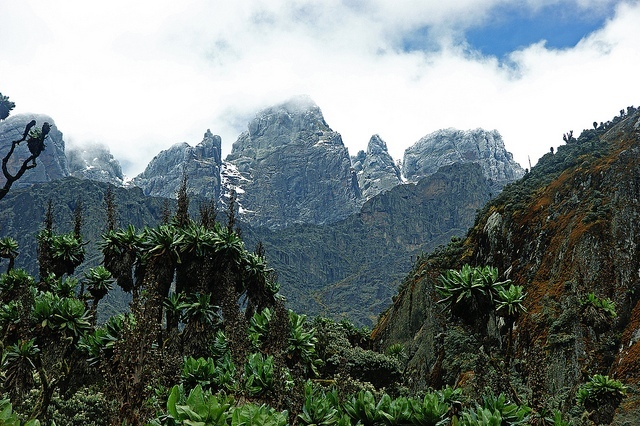 Vrcholy masivu Mt. Baker, Ruwenzori; Autor: Jørn Eriksson