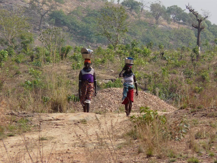 Stromová savana, severní Benin; foto: Vladimír Zikán