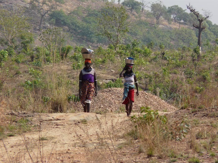 Stromová savana, severní Benin; foto: Vladimír Zikán