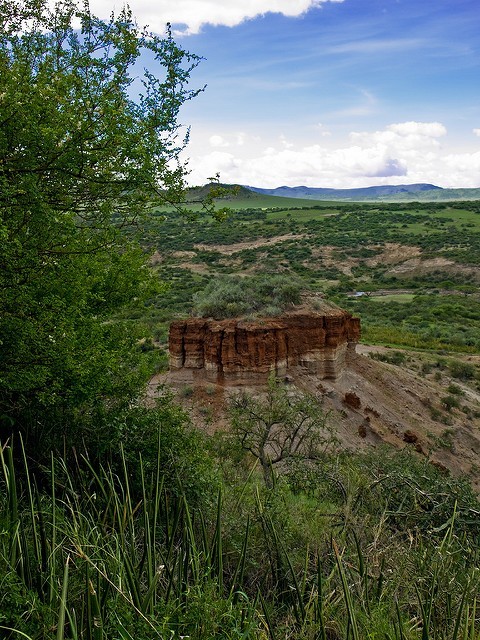 William Warby: Olduvai Gorge