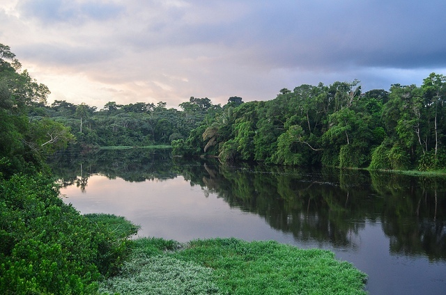 njbdodane prales Gabon