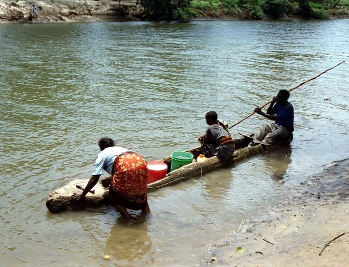 Přeprava mízi z kokosovníku (Cocos nucifera) přes řeku Sigi, Amboni, Tanga