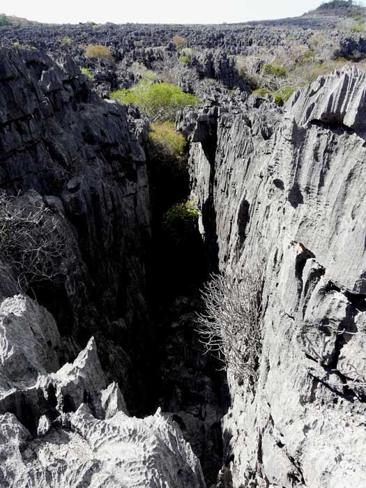 Tsingy, L´Ankárana, Madagaskar