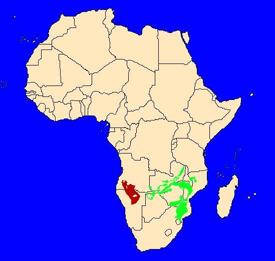 Mapa rozšížení mopanových lesů