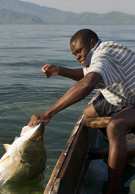 Úlovek nilského okouna na Viktoriině jezeře (Autor: WorldFish - Flickr.com)