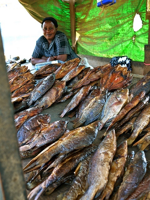 Uzení okouni a tilapie na trhu v Kampale (Autor: WorldFish - Flickr.com)