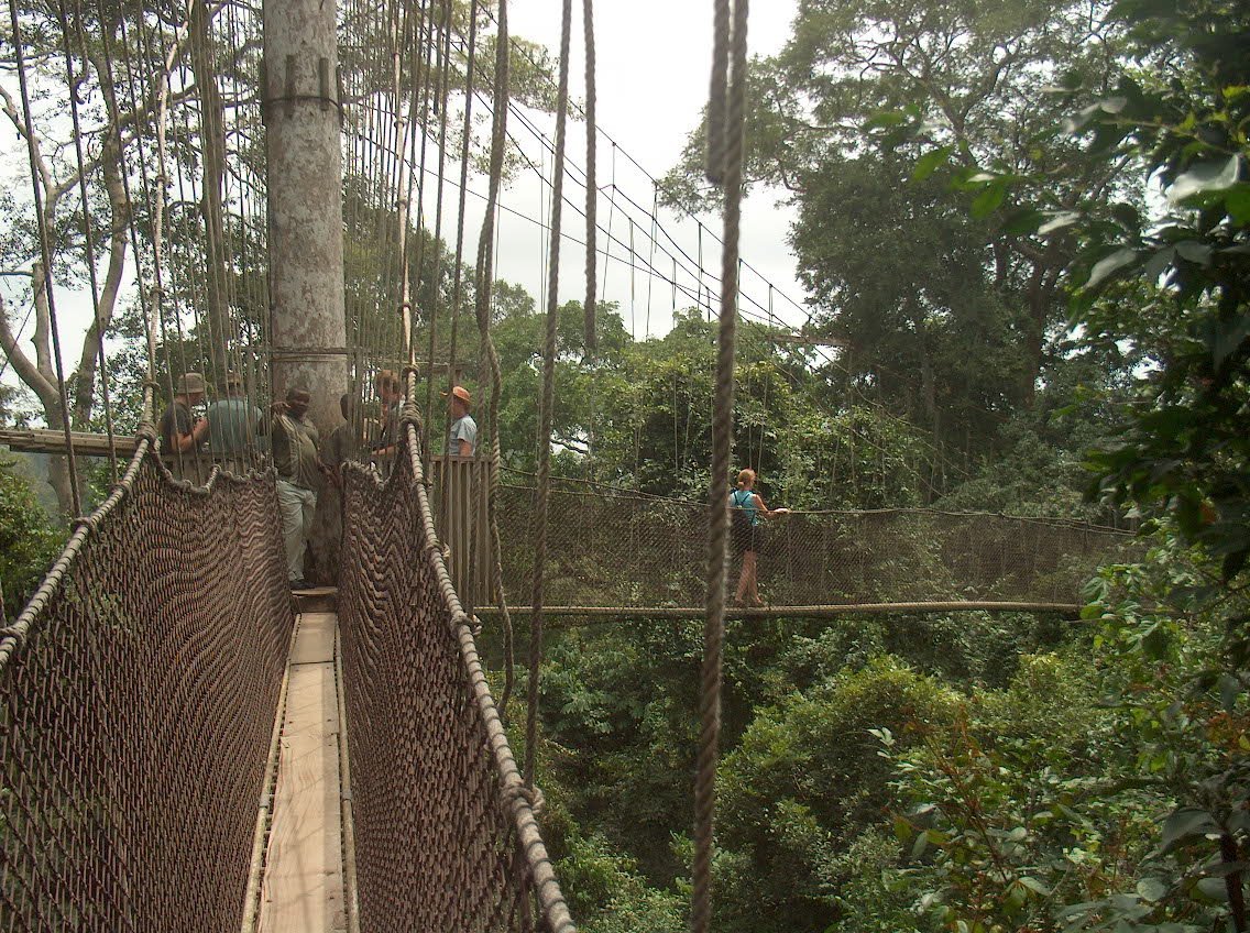 The Kakum Canopy Walk (Kakum N.p., Ghana)