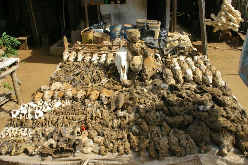 Fetish market Abomey (Benin)