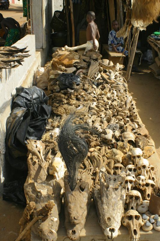 Fetish market Abomey (Benin)