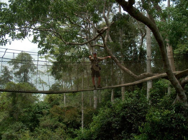 Kakum National Park (Ghana)