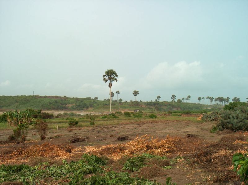 Takoradi beach