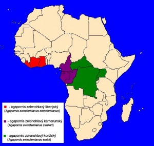 Agapornis zelenohlavý (Agapornis swindernianus) - rozšíření