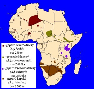 Gepard štíhlý (Acinonyx jubatus) - rozšíření