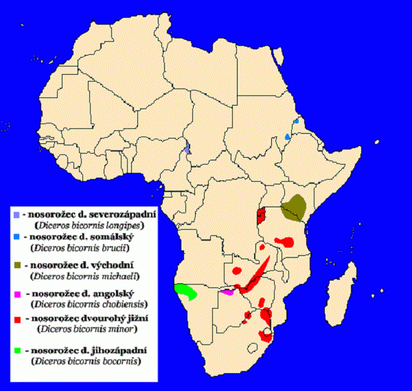 Nosorožec dvourohý (Diceros bicornis) - rozšíření