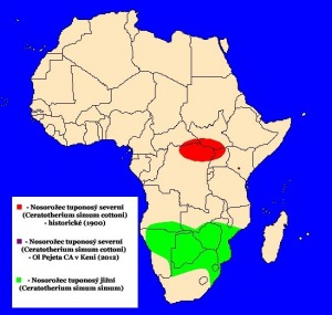 Nosorožec tuponosý (Ceratotherium simum) - rozšíření