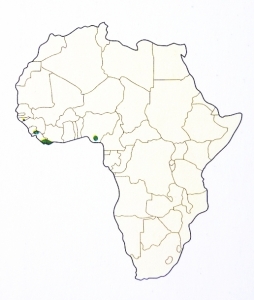 Hrošík liberijský (Choeropsis liberiensis) - rozšíření