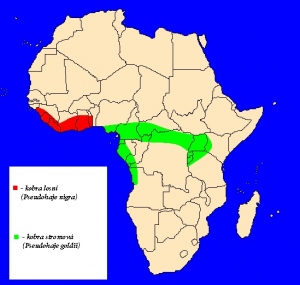 mapka rozšíření kobry stromové a lesní