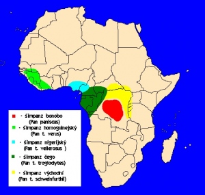 Šimpanz (Pan) - rozšíření