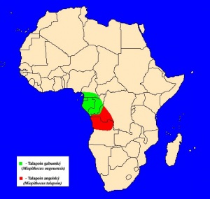Talapoin (Miopithecus sp.) - rozšíření